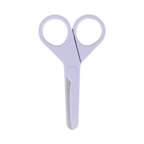 チームデミ シザーズ ふじ