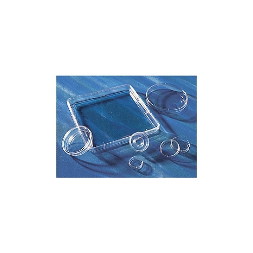 スクエアディッシュ無処理