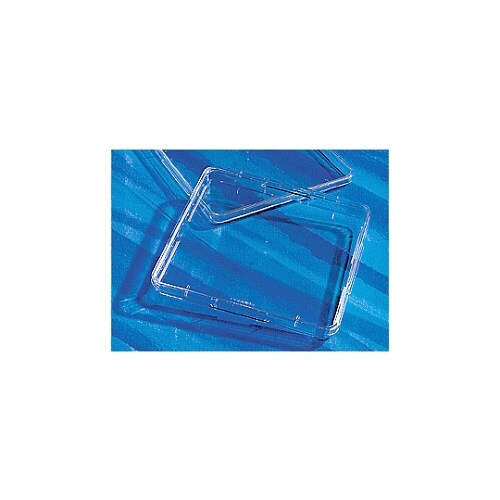 スクエアディッシュ細胞培養表面処理済み