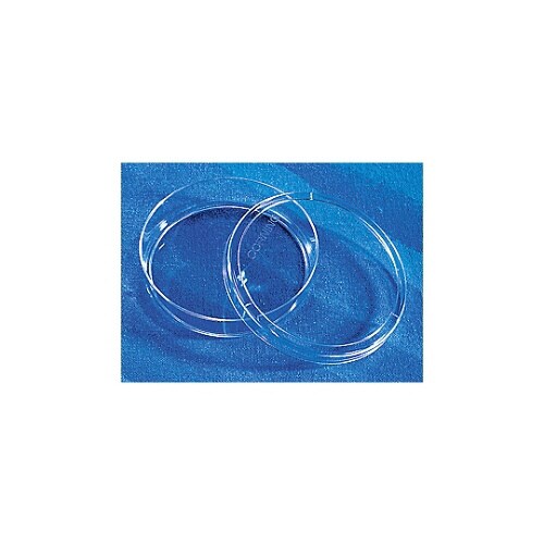 ディッシュ無処理 100mm