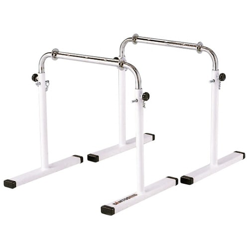 セーフティガードDX 2台1組