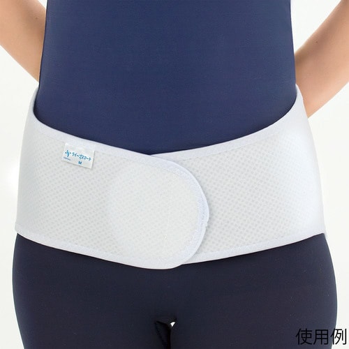 ライーブスマート M