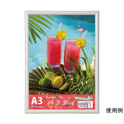 ダイレクトフレーム パラディ A3 ホワイト