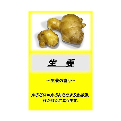 アサヒ入浴剤 生姜 10kg