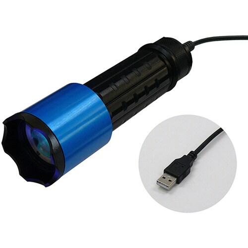 ブラックライト