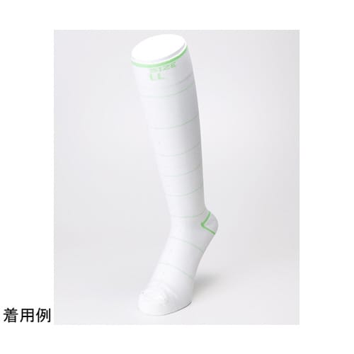 ソックスフォーDVT 両足点線タイプ LL