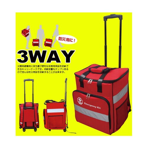 ラビンローラーバッグ単体