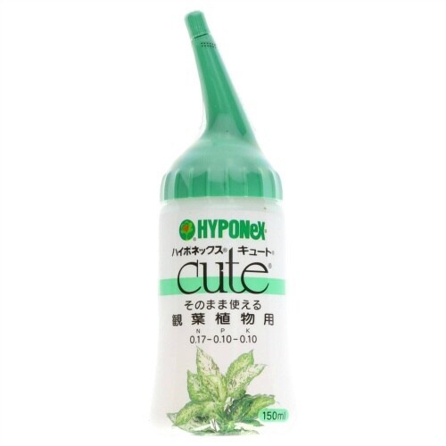 キュート 観葉植物用 150ML×5