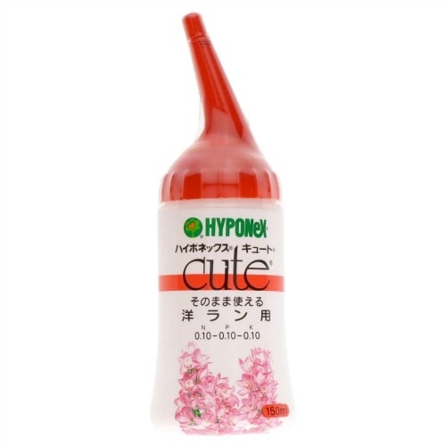 キュート 洋ラン用 150ML×10