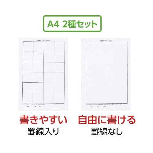 水書紙セット A4 2枚組(不織布)