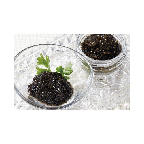 【冷蔵】アルカンフランス産キャビア