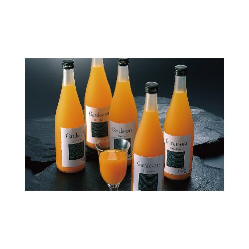 ガーディ・オレ・スペシャル