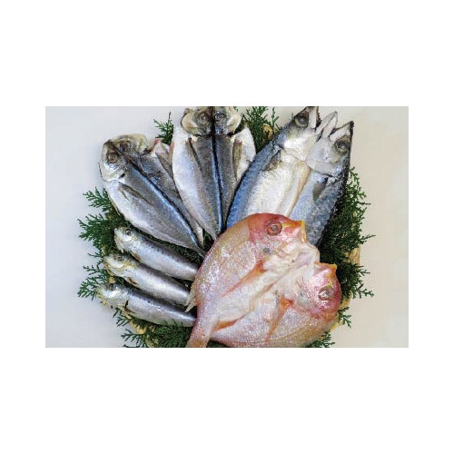 【冷凍】九州一夜干し4種