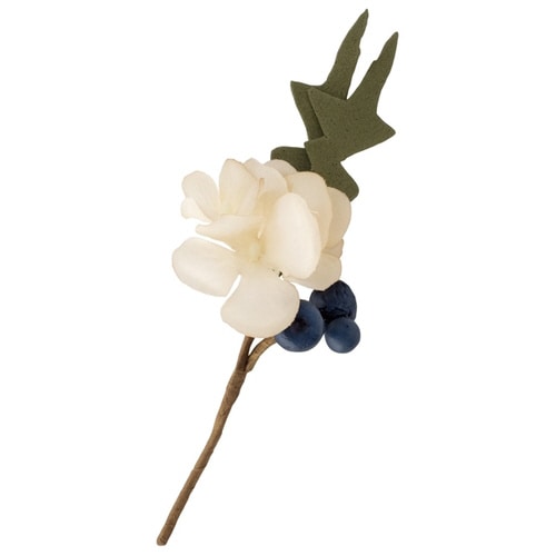 フルリールアレンジメント ブルーベリー 10個入