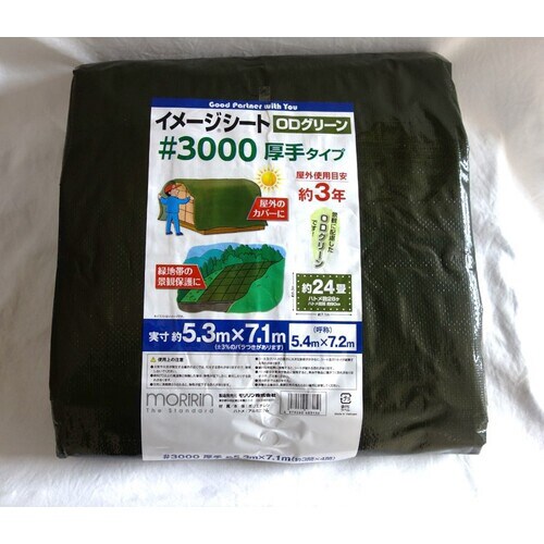 3000イメージOD5.4X7.2 1個