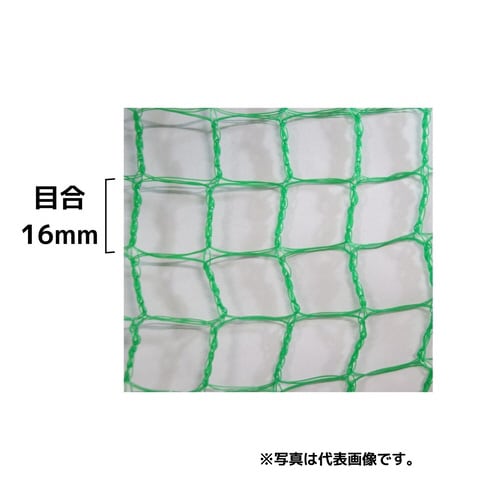 動物防除ネット16MMX1X20 2個