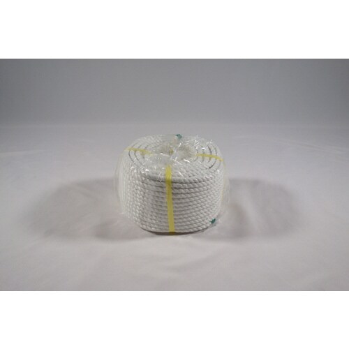 ポリエステルロープ小巻 8X50 2個