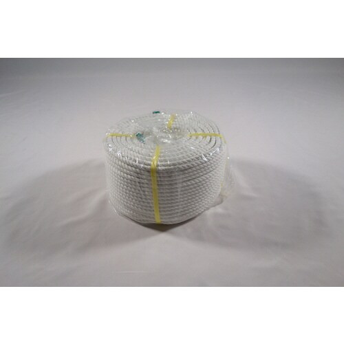 ポリエステルロープ小巻 9X100 1個