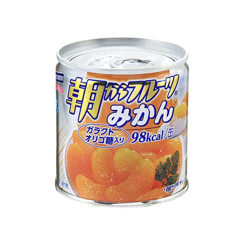 はごろも 朝からフルーツ みかん 190g x24