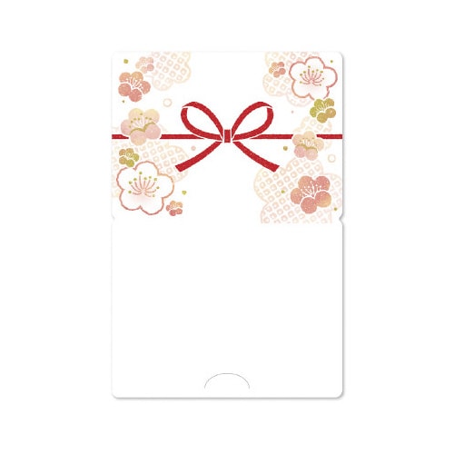 のしメッセージ 梅乃花 5パック