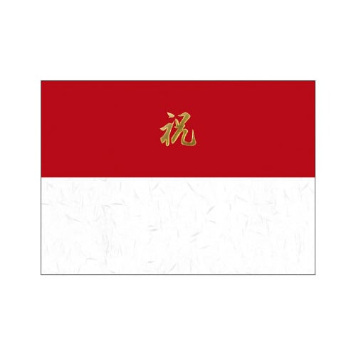 掛紙 A4判 祝 雪 5パック