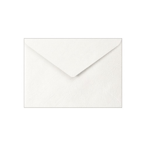 洋2封筒 ノーブルホワイト 5パック