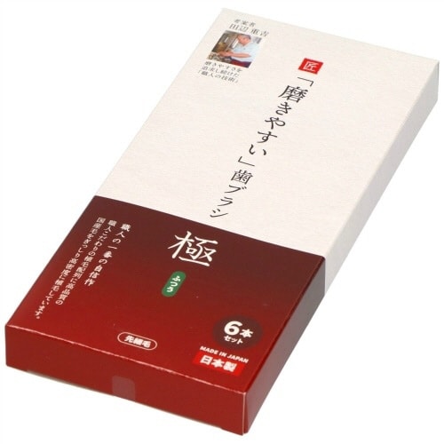 LT−53 磨きやすい歯ブラシ極 ふつう×6