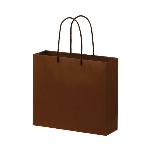 ペーパーバッグML茶10枚入