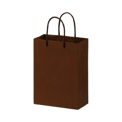 ペーパーバッグS茶10枚入