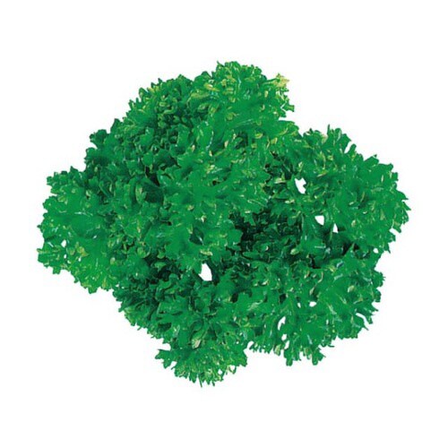 グルメシ−ト パセリ 丸 24パック