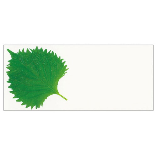 ハイ大葉A 70×160 12パック