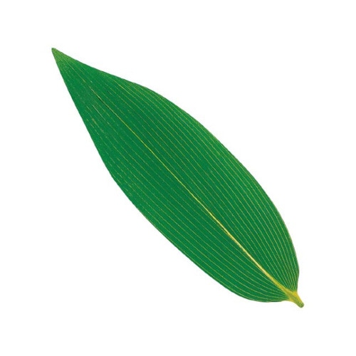 グルメシート 熊笹 24パック