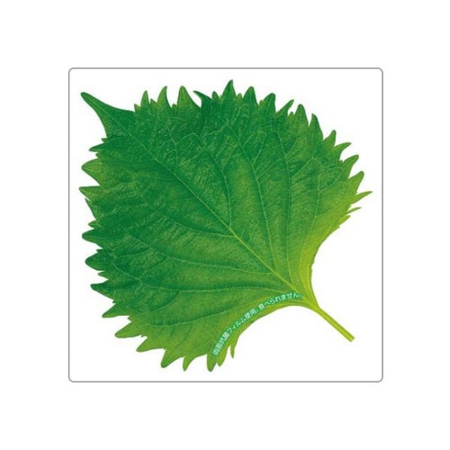 グルメシ−ト 抗菌大葉角 85×85 24パック