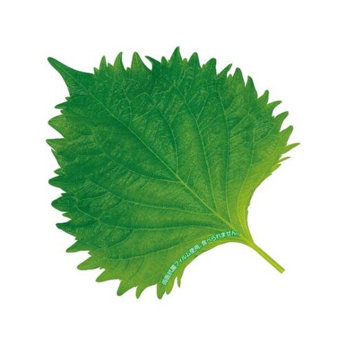 グルメシ−ト 抗菌大葉 丸 24パック