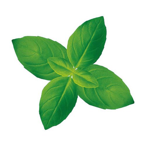 グルメシ−ト バジル 丸 24パック