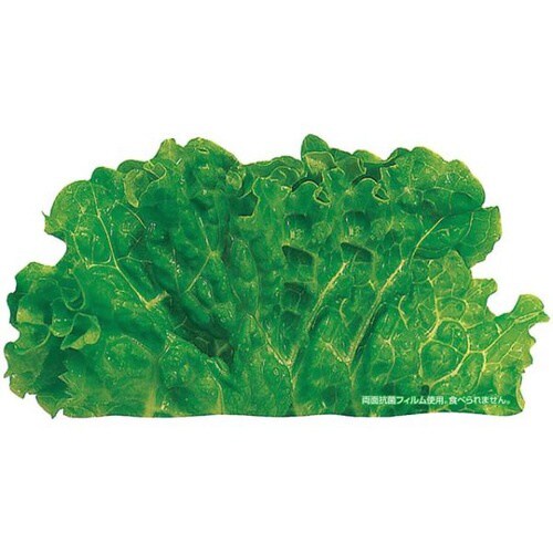 グルメシ−ト 抗菌グリ−ンリ−フ 丸 24パック