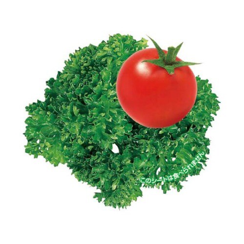 グルメシ−ト パセリトマト 24パック