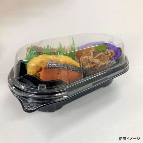 BFNプランチ21 黒本体 24パック