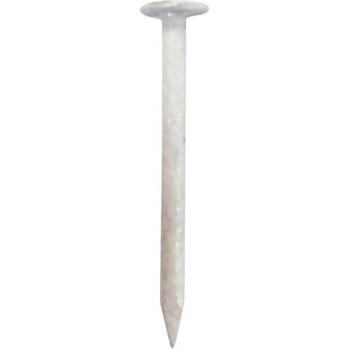 SPカラートタン釘500g #15×25 白