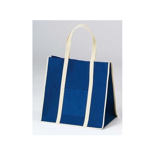 ファインビュー不織布バッグ(10枚入)大