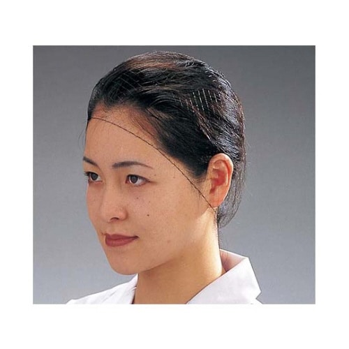 ヘアーネット(100枚入)Lサイズ