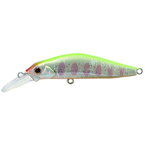 奏カナデ 50 WCY チャートヤマメ