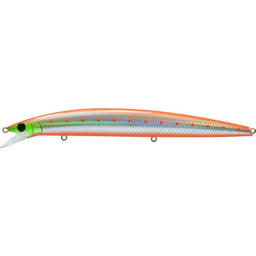 アスリート 17FSV CTI キャロットイワシ