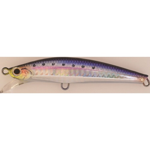 ピンテールサゴシチューン28g SNI 新鮮イワシ