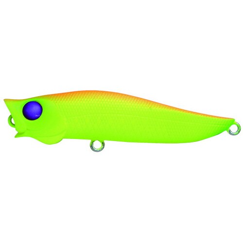 R.Aポップ 70mm MCO アピールチャート