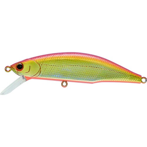 メテオーラ 80 LRG アカキンオレンジベリー