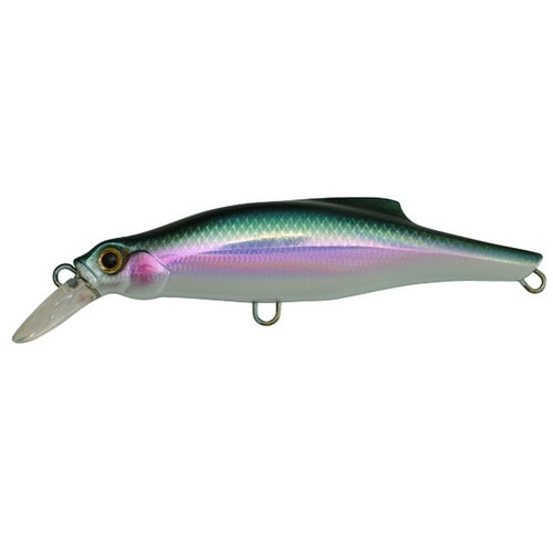 ピンテール 35 NKI 生カタクチ