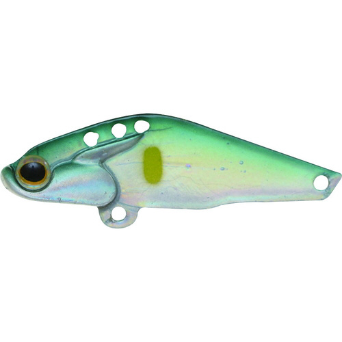 カイモ 6 CAY(アユ)