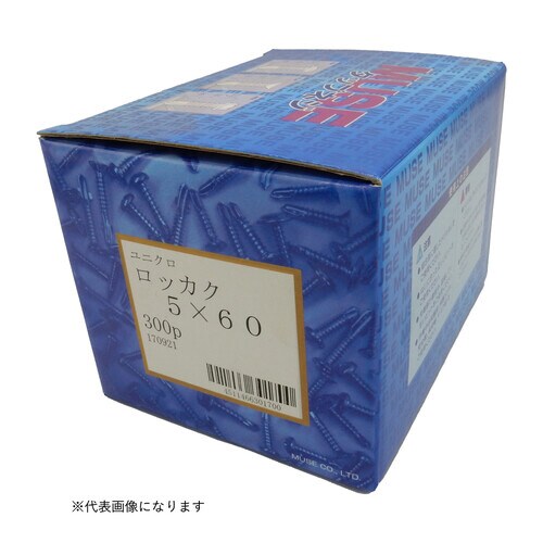 タップネジ 六角 5x19 500本入