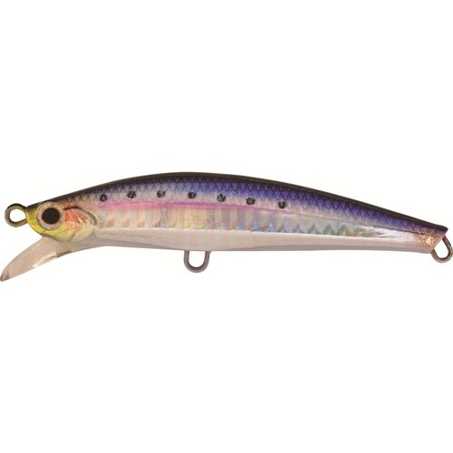 ピンテールサワラチューン42g SNI 新鮮イワシ